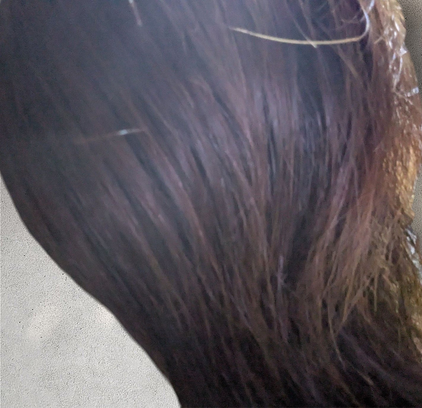 プレミアム ヘアエッセンス/emplir/ヘアマスク・ヘアパックを使ったクチコミ(4枚目)