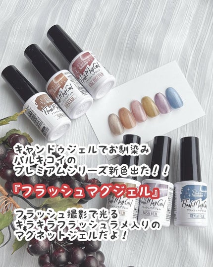 パルP フラッシュマグジェル/parkikoi/ジェルネイルを使ったクチコミ(2枚目)