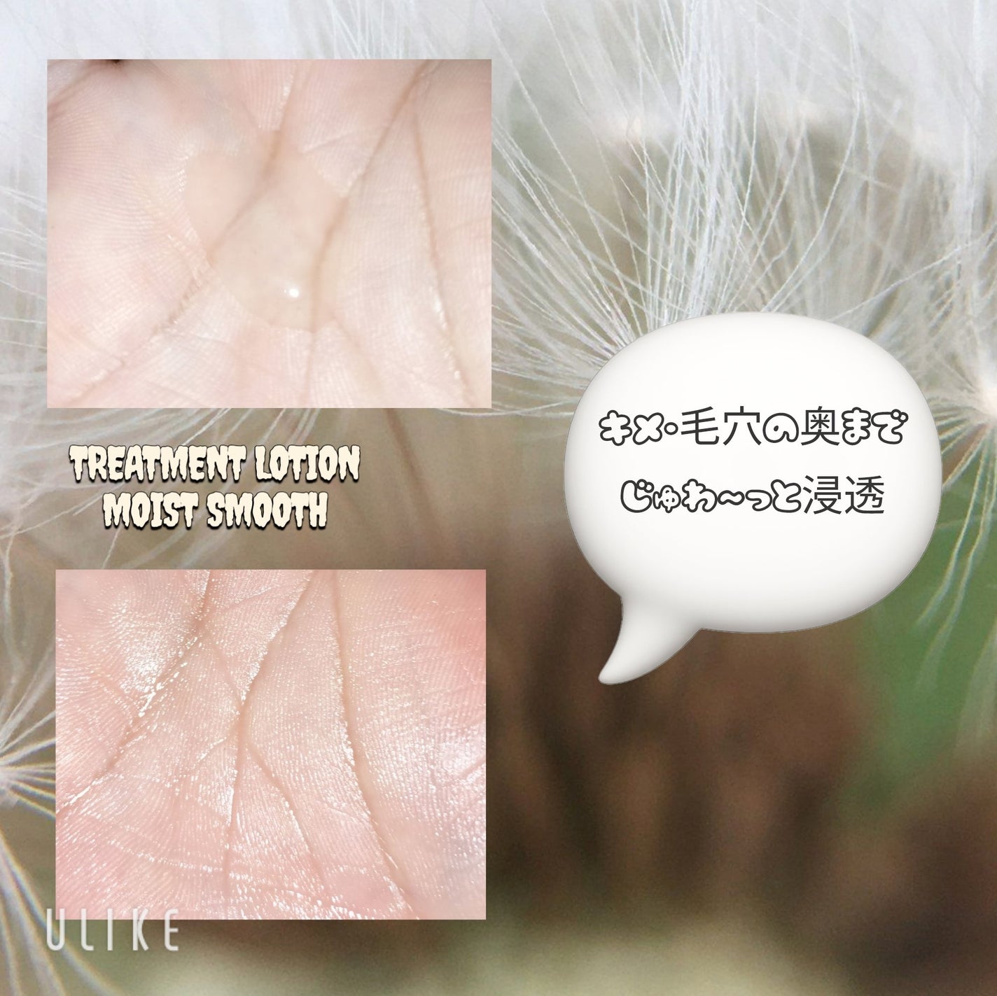 トリートメントローション(モイストムース)/アクアレーベル/化粧水を使ったクチコミ(3枚目)