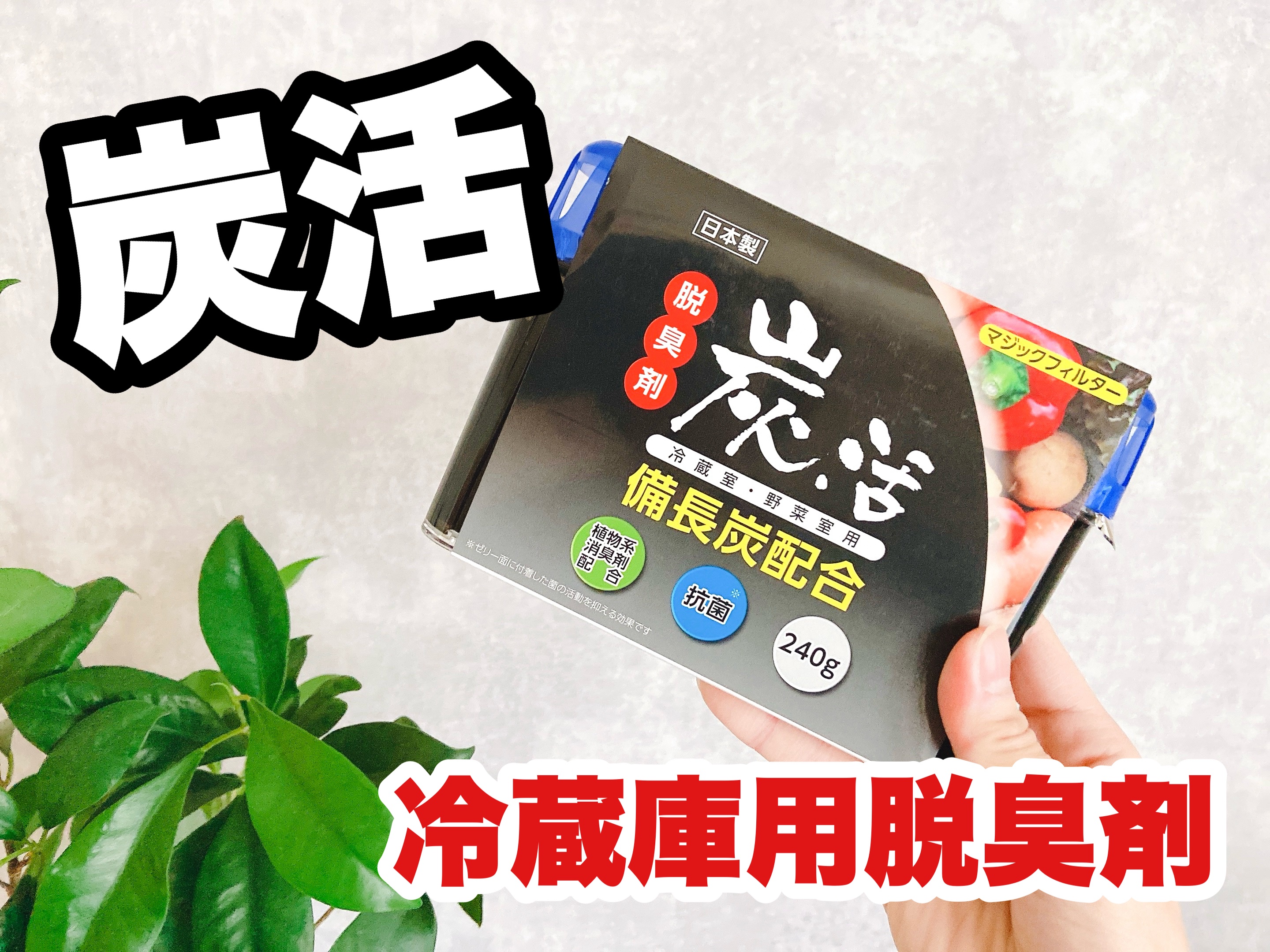 炭活 脱臭剤 備長炭配合  冷蔵室・野菜室用/ライオンケミカル/その他を使ったクチコミ（1枚目）