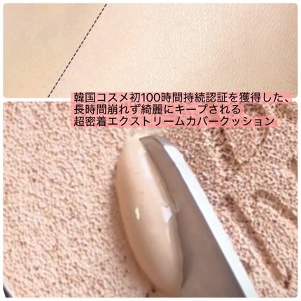 プロテーラービーベルベットカバークッション/espoir/クッションファンデーションを使ったクチコミ(4枚目)