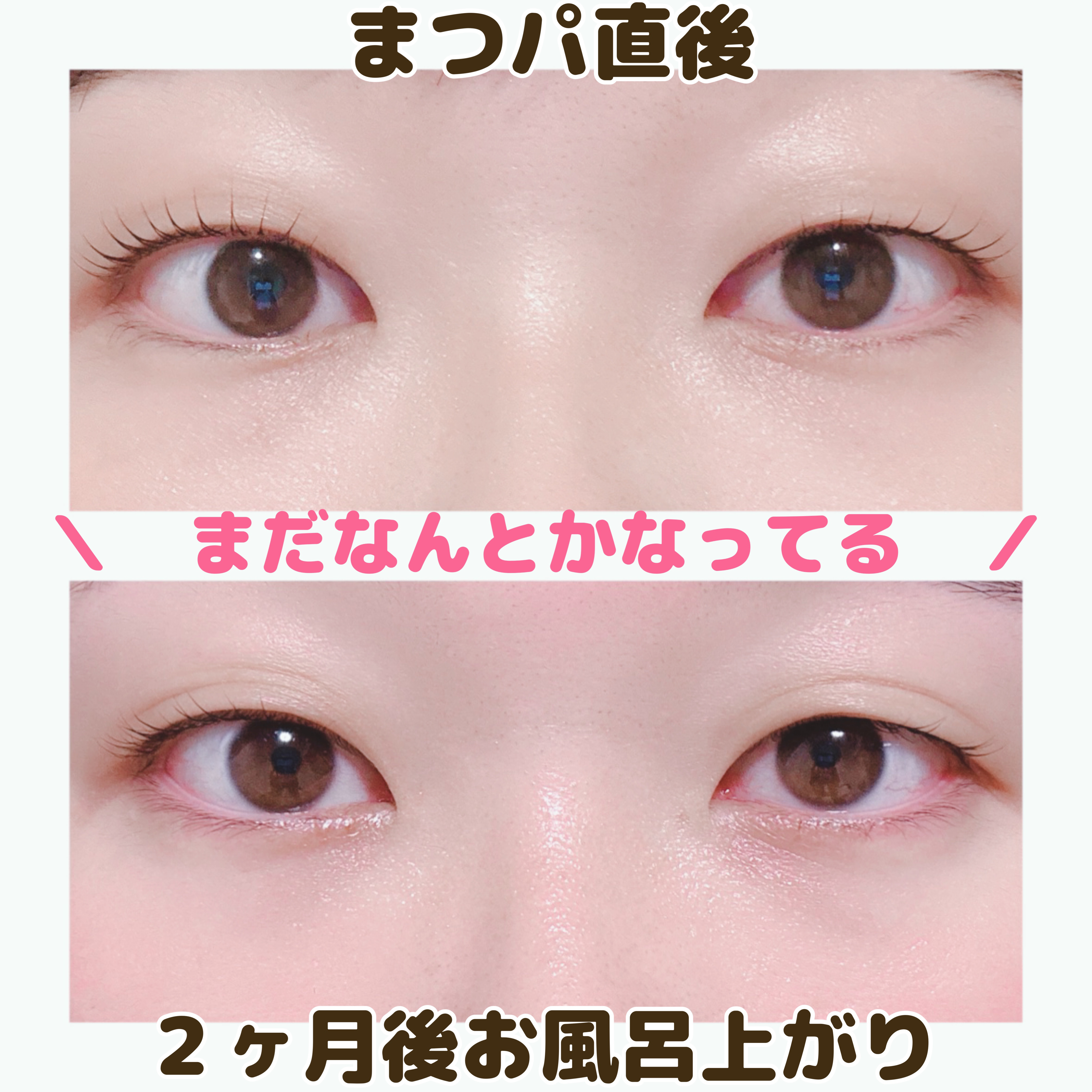 ラッシュジェリードロップ　ＥＸ/MAJOLICA MAJORCA/まつげ美容液を使ったクチコミ（2枚目）