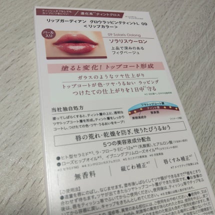 グロウラッピングティント/LIPGUARDIAN/リップティントを使ったクチコミ(10枚目)