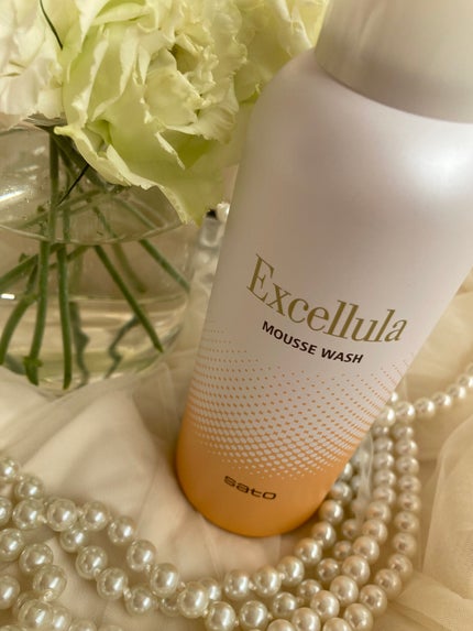 エクセルーラ ムースウォッシュ/Excellula/洗顔フォームを使ったクチコミ(7枚目)