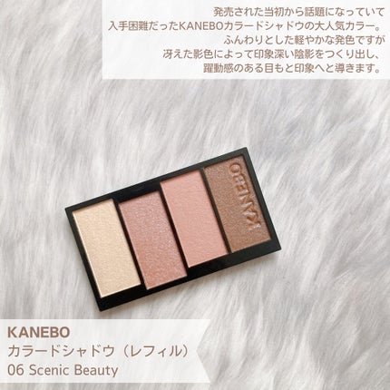 カラードシャドウ/KANEBO/アイシャドウパレットを使ったクチコミ(2枚目)
