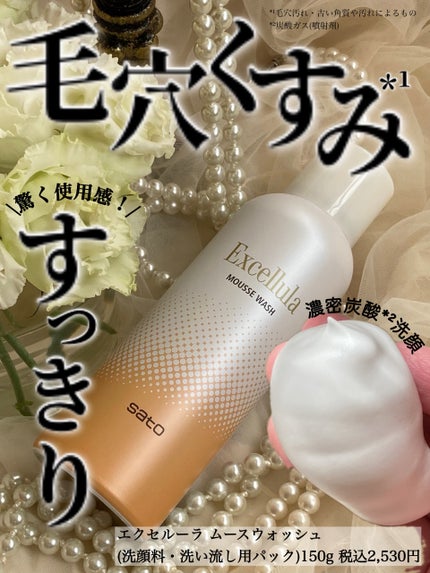 エクセルーラ ムースウォッシュ/Excellula/洗顔フォームを使ったクチコミ(1枚目)
