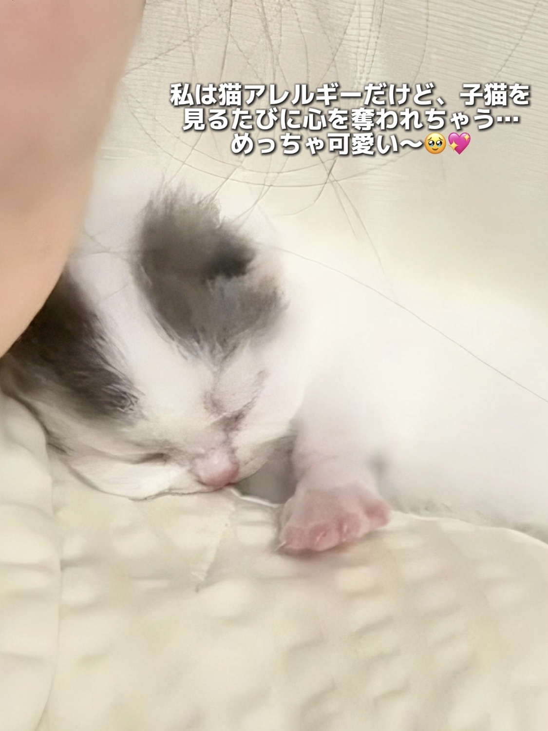 アネトス バランシング トリートメントクリーム/Anetos/フェイスクリームを使ったクチコミ（3枚目）