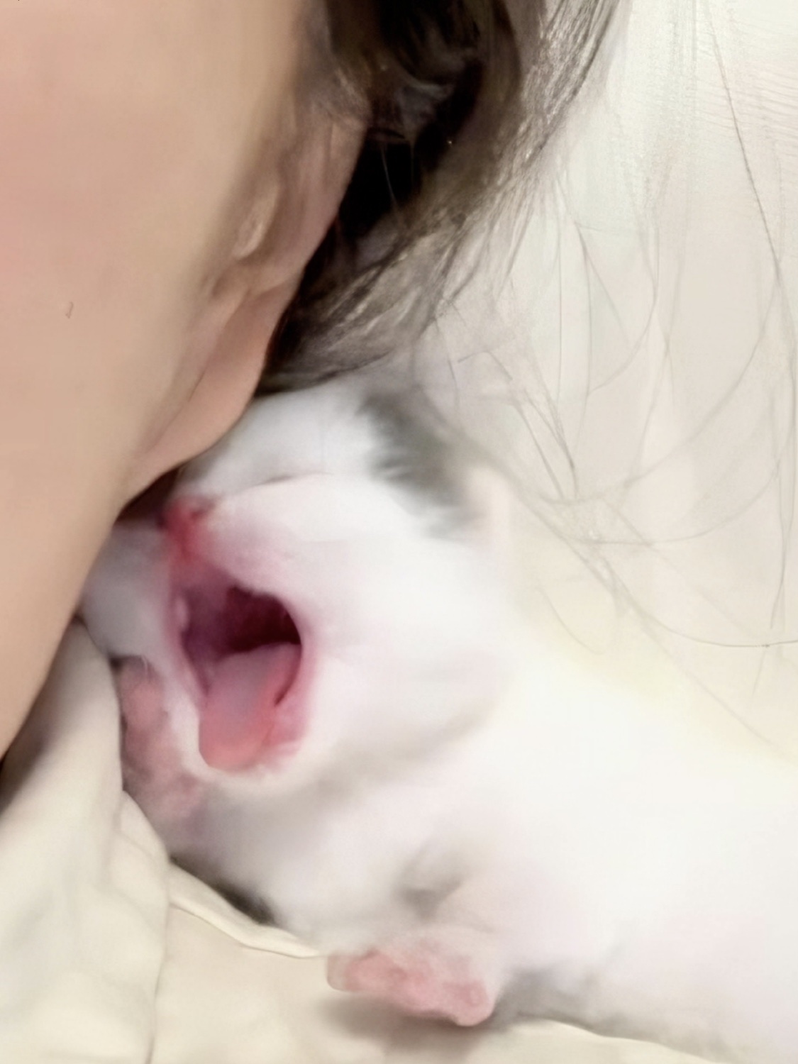 アネトス バランシング トリートメントクリーム/Anetos/フェイスクリームを使ったクチコミ（2枚目）