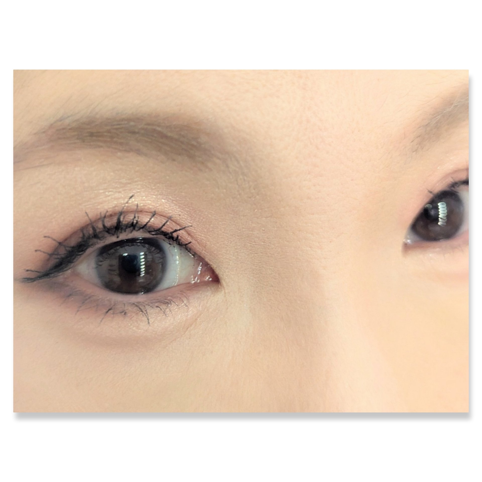 ニュアンス デューイ クリエイター/Visée/アイシャドウパレットを使ったクチコミ（2枚目）