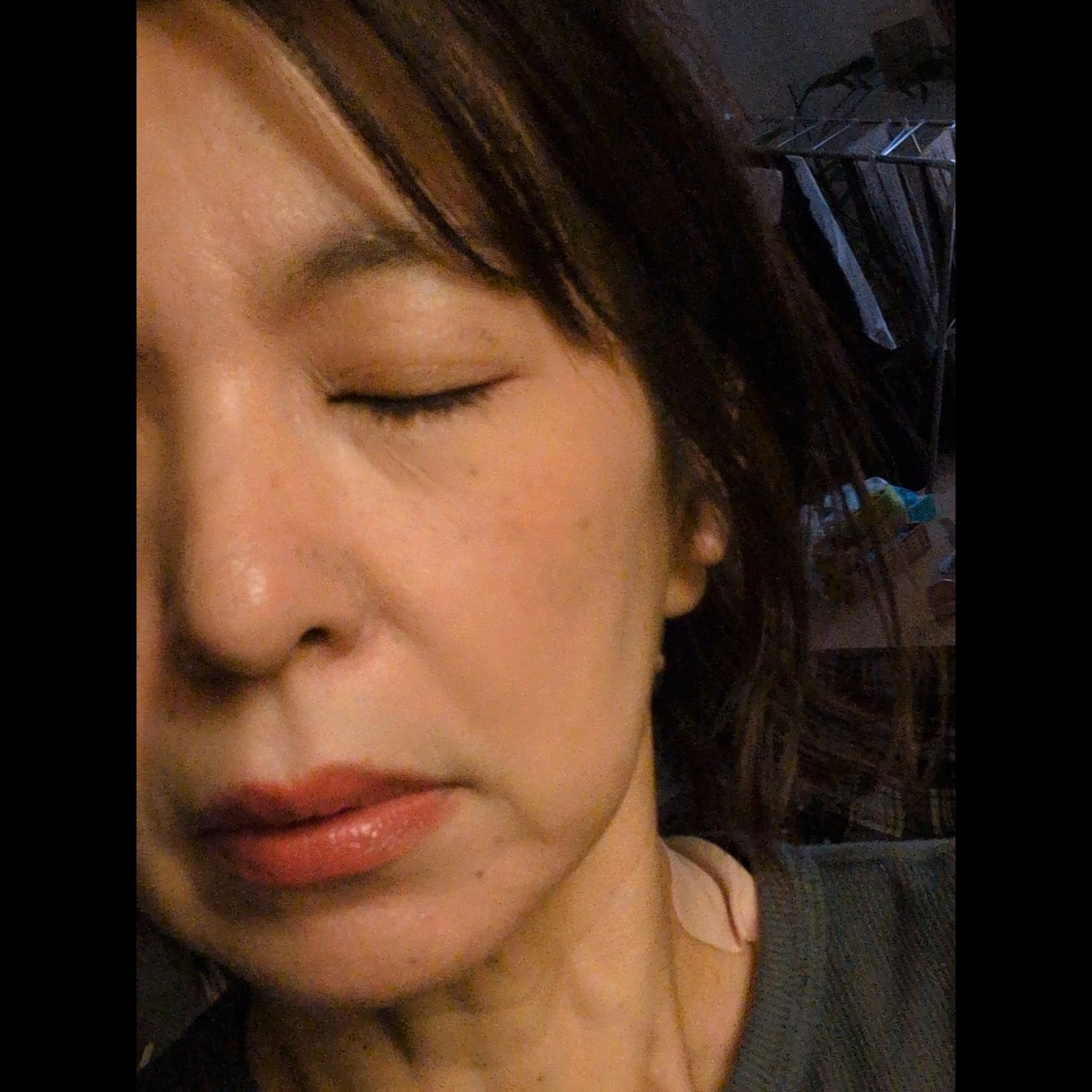 リップライナー/キスミー フェルム/リップライナーを使ったクチコミ(9枚目)