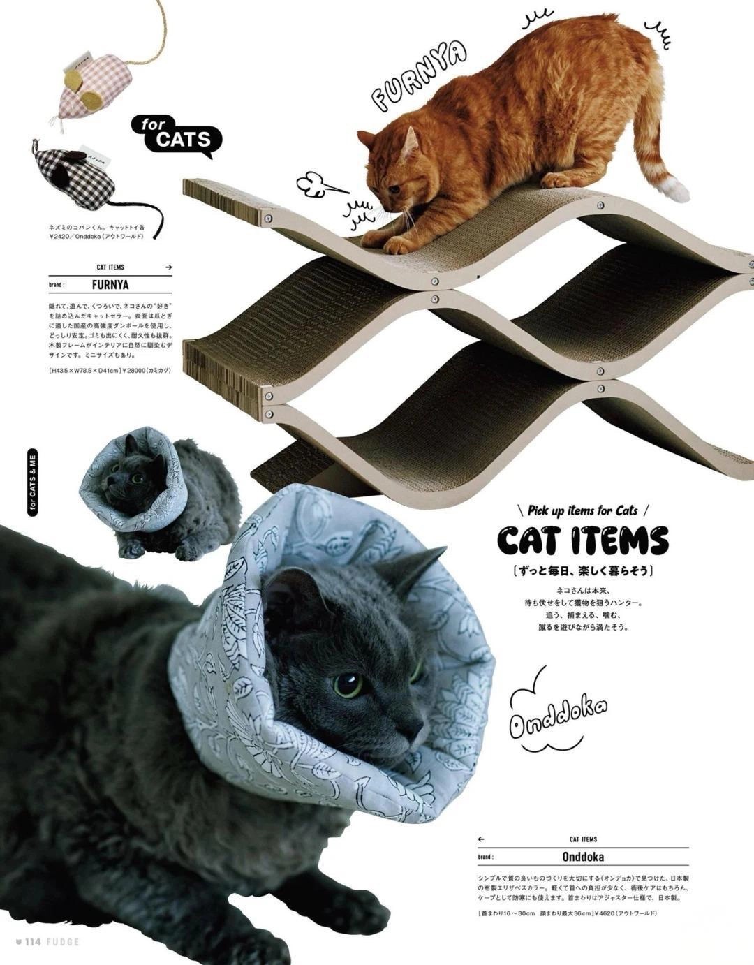 アネトス アクネケア トリートメント セラム/Anetos/美容液を使ったクチコミ（3枚目）