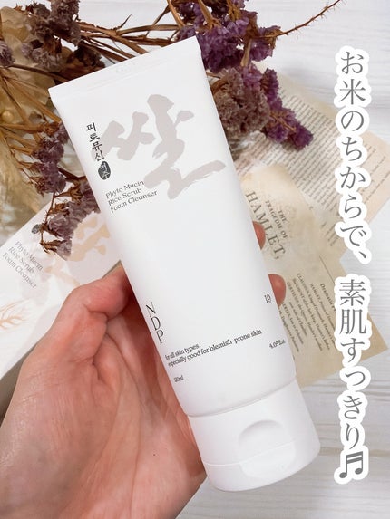 ãã£ããã¥ãŒã·ã³ ãç±³ã¹ã¯ã©ã ãã©ãŒã ã¯ã¬ã³ã¶ãŒ/NDP/æŽé¡ãã©ãŒã ã䜿ã£ãã¯ãã³ãïŒ1æç®ïŒ