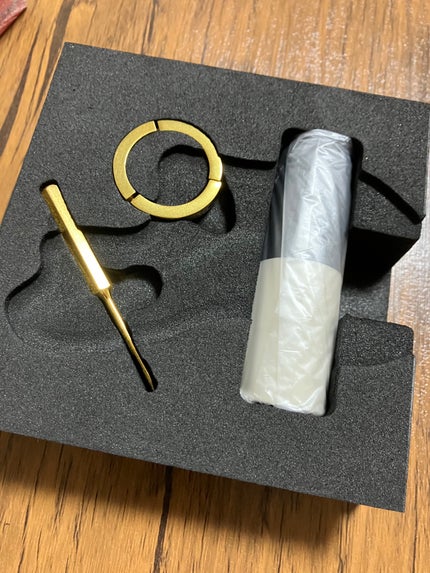 ザ リップ ネオ アニマ/アーレス/口紅を使ったクチコミ(4枚目)