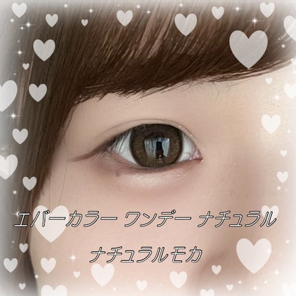エバーカラーワンデー ナチュラル/エバーカラー/ワンデー(1DAY)カラコンを使ったクチコミ(1枚目)