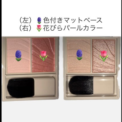 レイヤード フルリ チーク/Visée/パウダーチークを使ったクチコミ(3枚目)