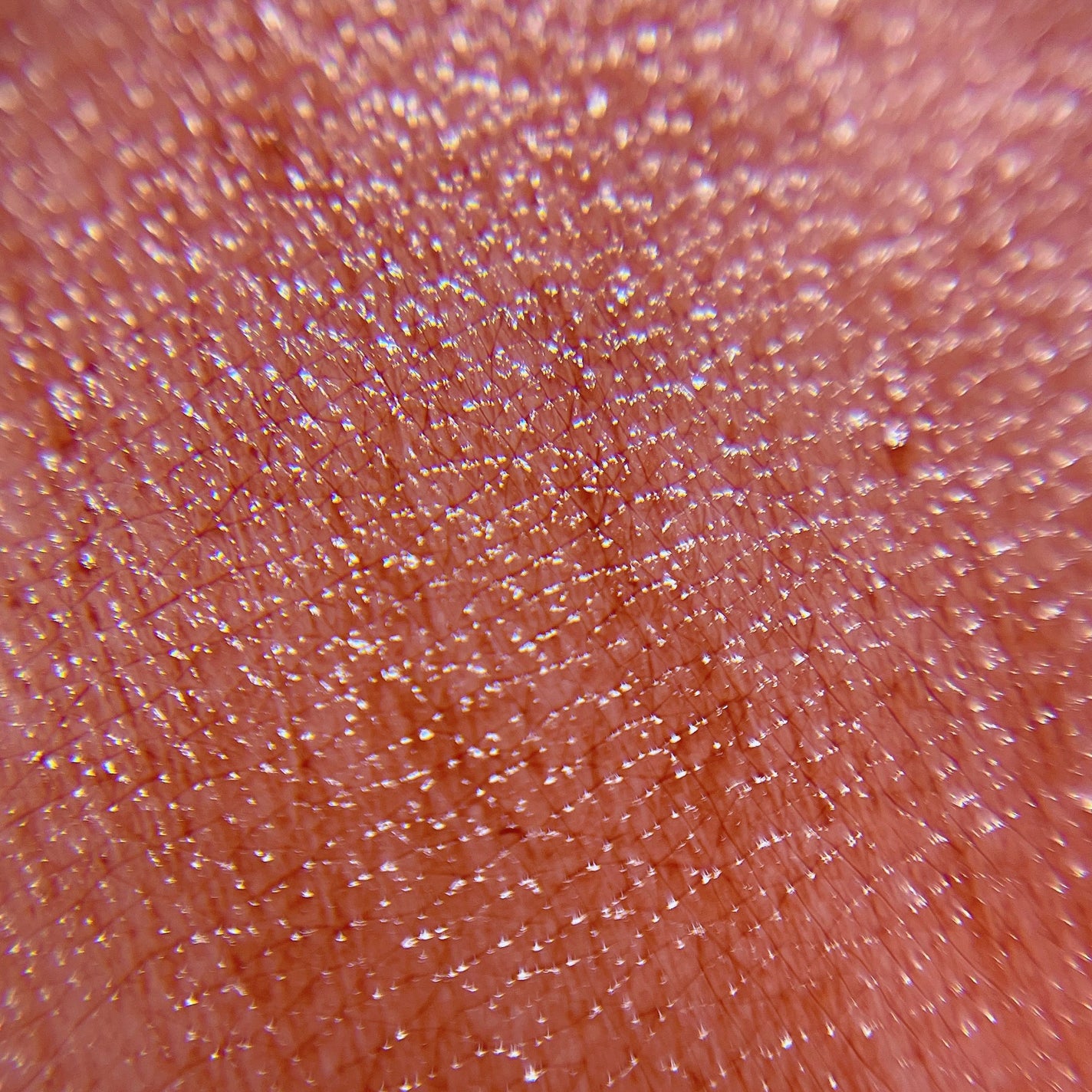 クラッシュド リップ カラー/BOBBI BROWN/口紅を使ったクチコミ(10枚目)