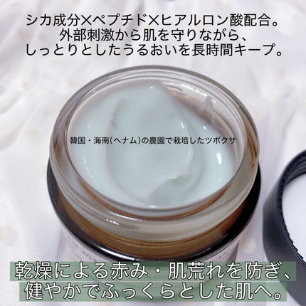 へナム404ペプタシカクリーム/TOUN28/フェイスクリームを使ったクチコミ(2枚目)