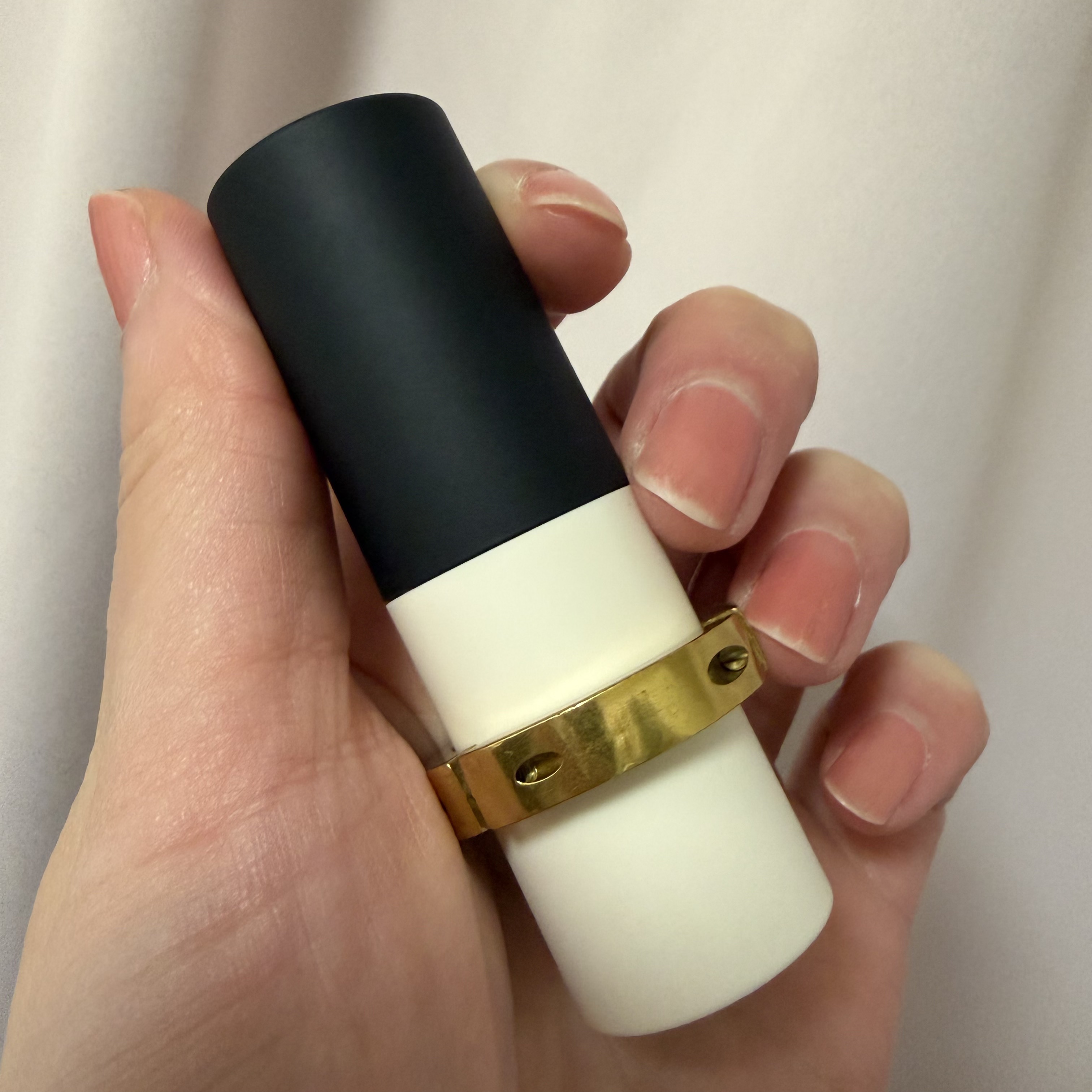 ザ リップ ネオ アニマ # バリサン ピンク/アーレス/口紅を使ったクチコミ（1枚目）