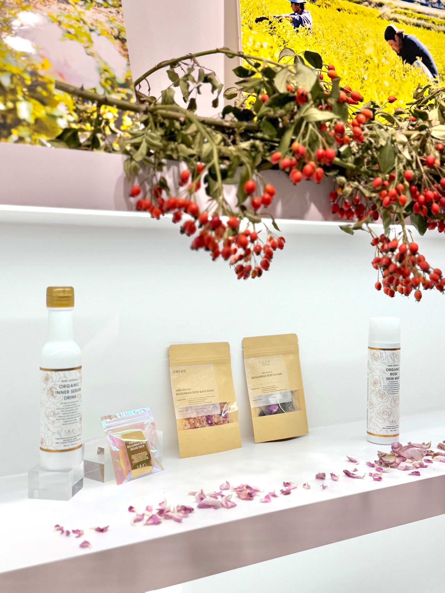 2025 ホリデーコレクション/MiMC/メイクアップキットを使ったクチコミ(8枚目)