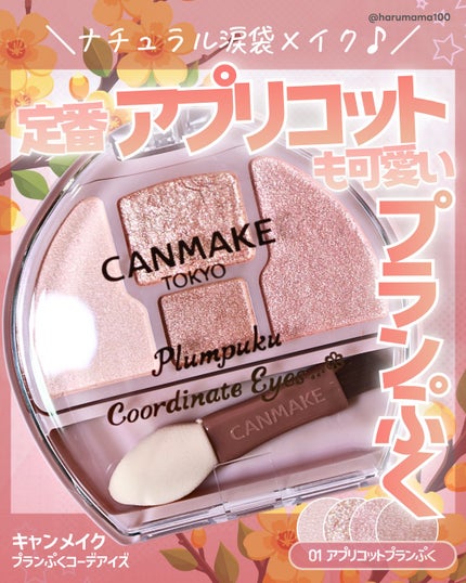プランぷくコーデアイズ/キャンメイク/パウダーアイシャドウを使ったクチコミ(1枚目)
