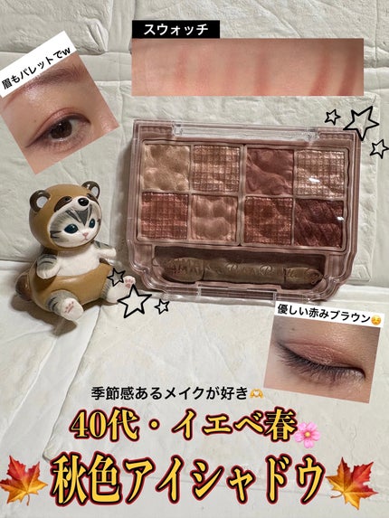 プティパレットアイズ/キャンメイク/パウダーアイシャドウを使ったクチコミ(1枚目)