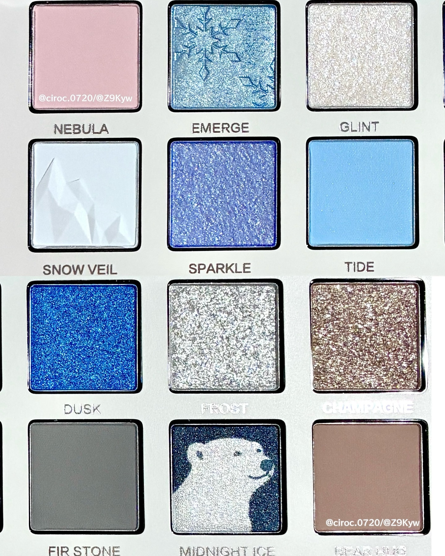 エクスプローラ12色 動物アイシャドウパレット/PERFECT DIARY/アイシャドウパレットを使ったクチコミ（2枚目）