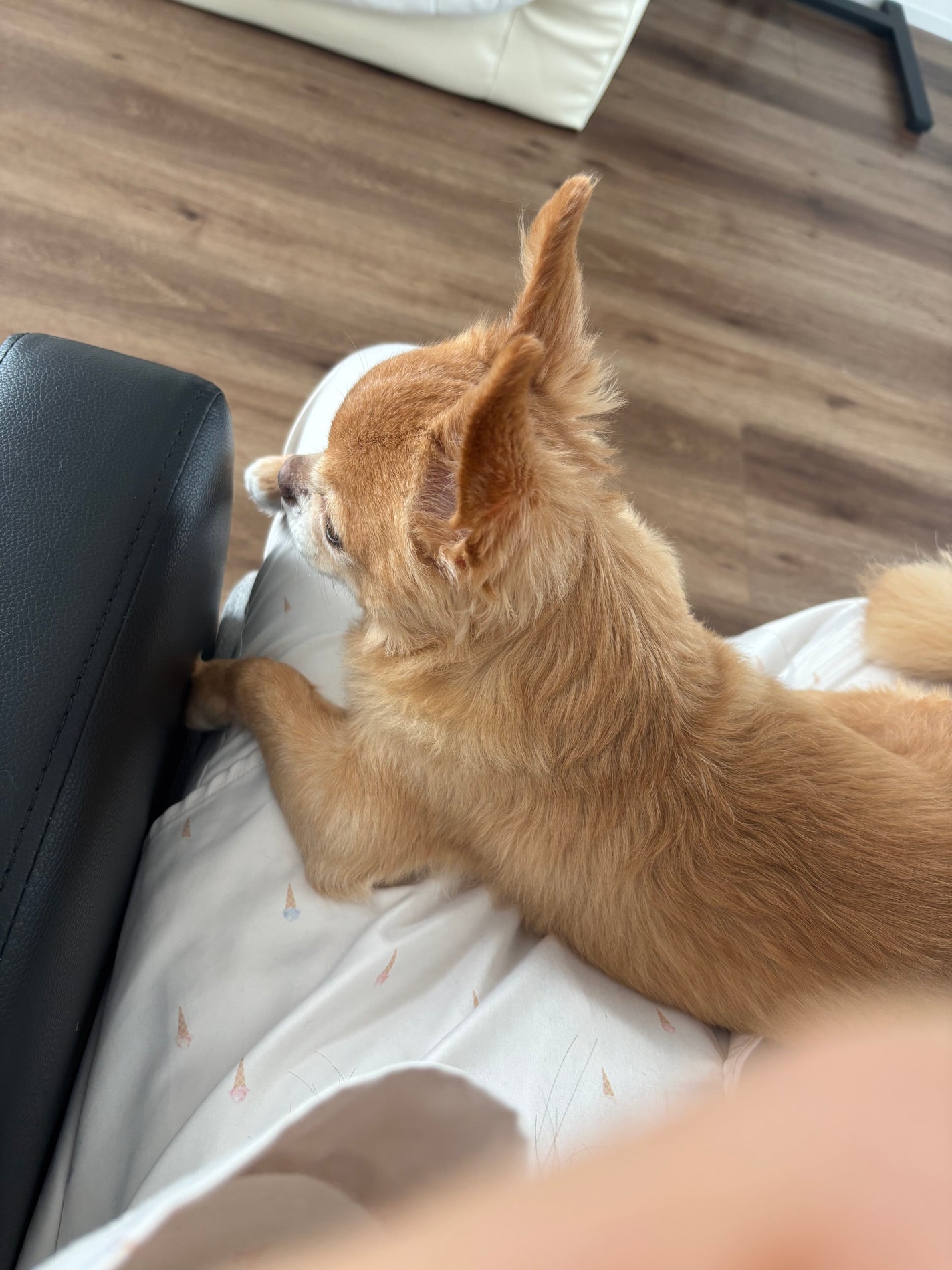 のむヨーグルト とろけるはちみつ/日本ルナ/飲むヨーグルトを使ったクチコミ(5枚目)