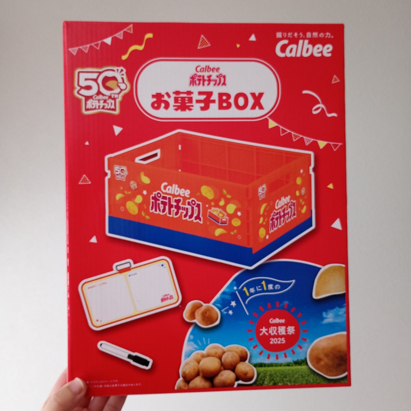 HinaðŒãã©ãã100 on LIPS ãâïžå
ã°ã©ã³ãã¹ã¿ããã®åœéžç޹ä»âïžCalbee倧åç©«ç¥202..ãïŒ2æç®ïŒ