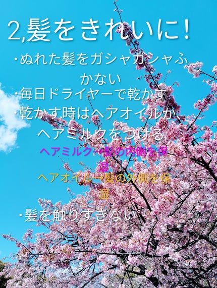 ã䜿ã£ãã¯ãã³ãïŒ3æç®ïŒ