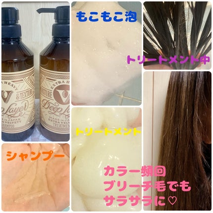 ディープレイヤー シャンプーExV/トリートメントExV 【プロフェッショナルユース】 トリートメント(470g)/DeepLayer/サロンシャンプーの画像