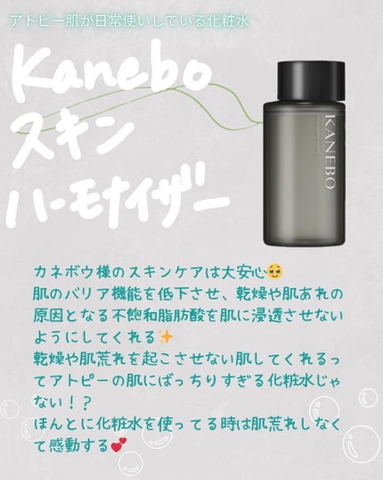 ザ・タイムR アクア/IPSA/化粧水を使ったクチコミ(6枚目)