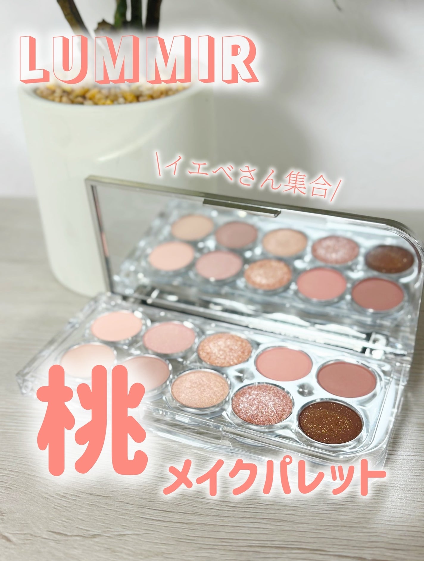 ライトオンアイズシャドウパレット/ルミル/アイシャドウパレットを使ったクチコミ(1枚目)