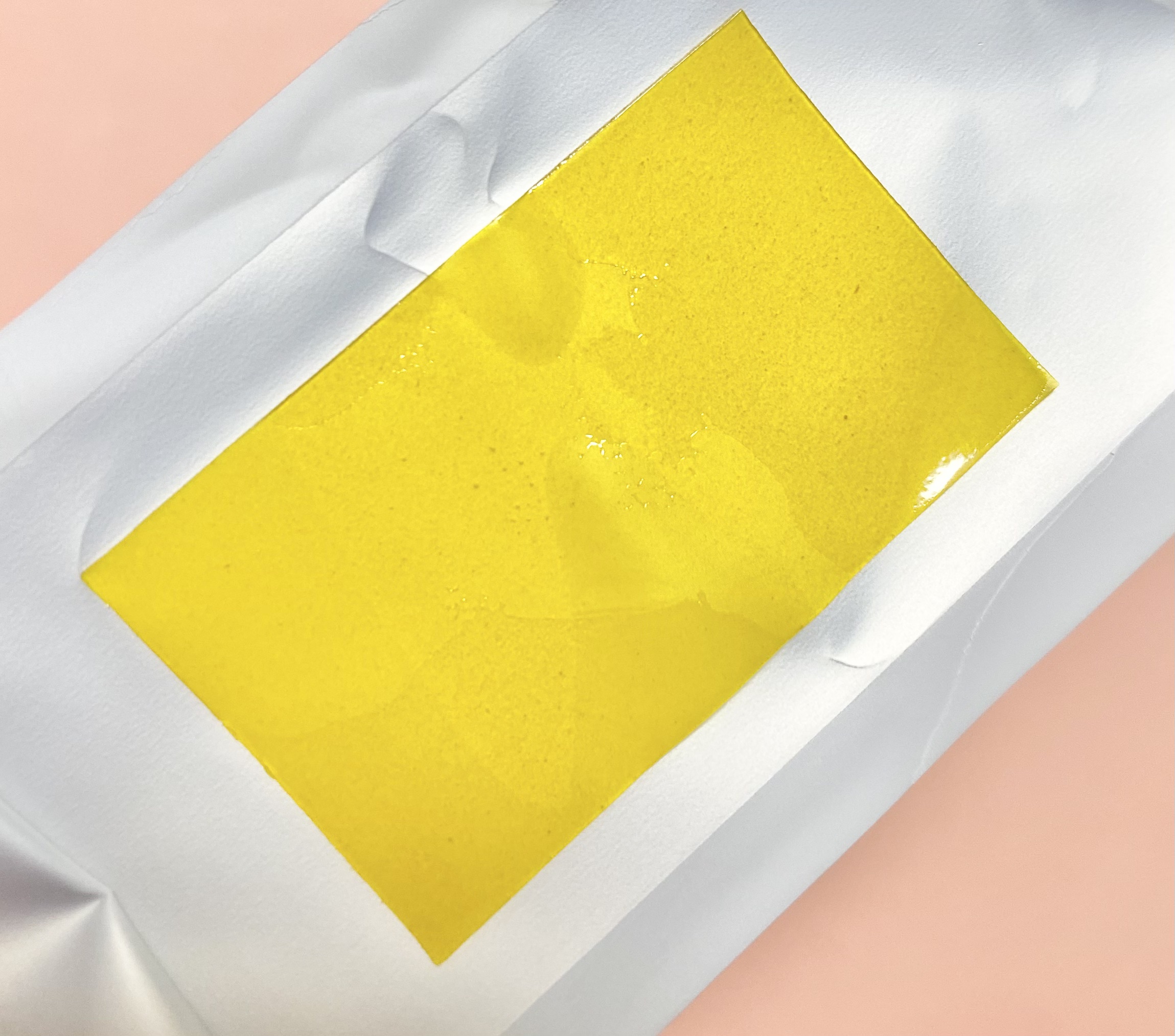 ヨエスター リポソーム GLT ダイレクト/ESTHER FORMULA/美容サプリメントを使ったクチコミ（3枚目）