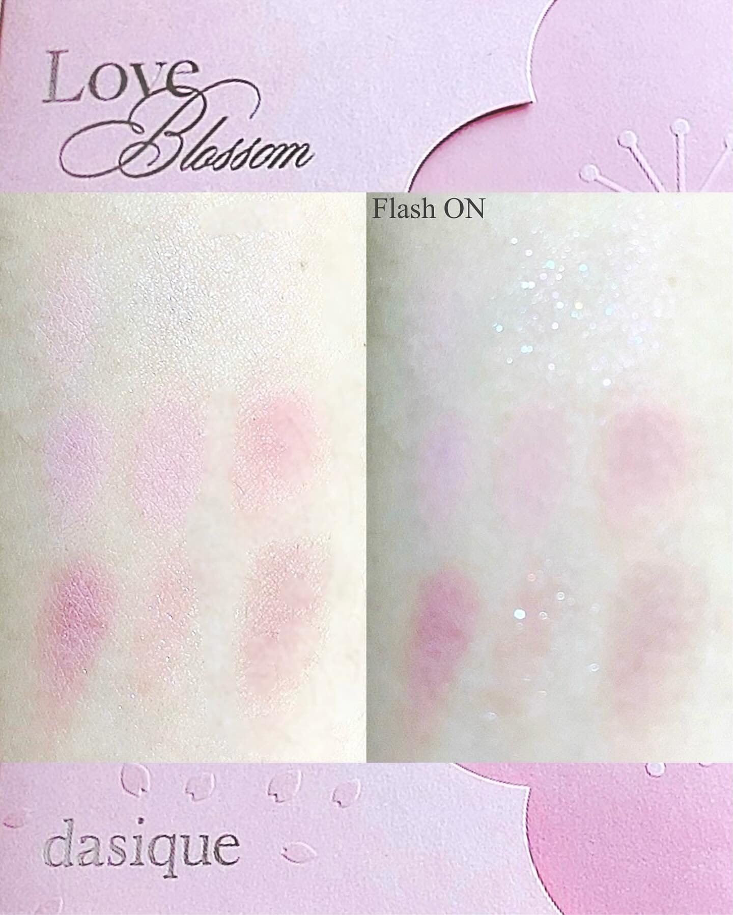 シャドウパレット/dasique/アイシャドウパレットを使ったクチコミ（3枚目）