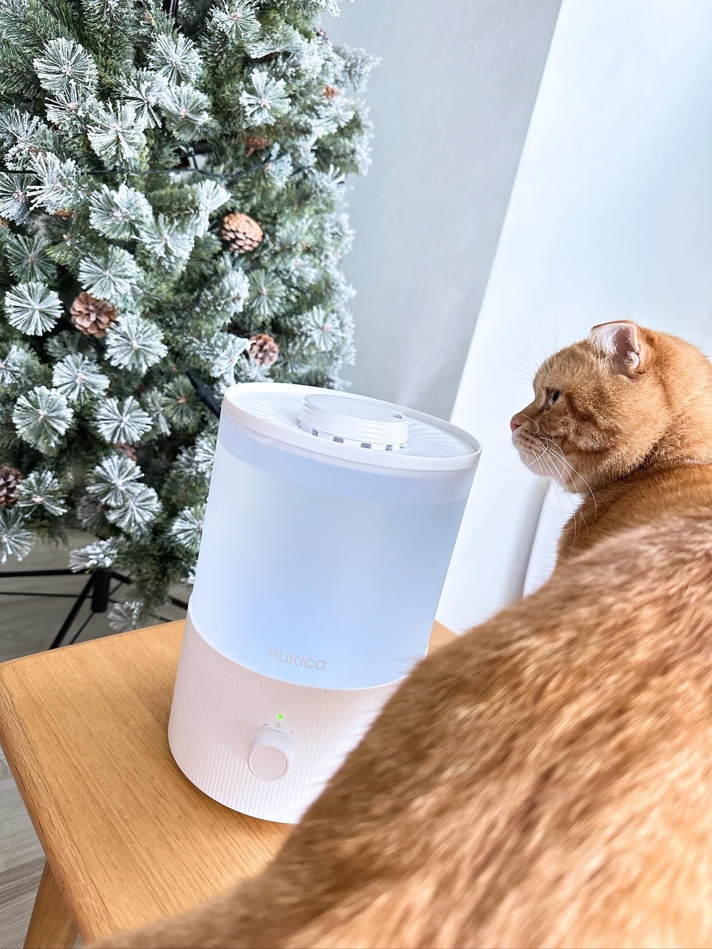 めるᙏ̤̫͚𓍯フォロバ on LIPS 「#𝗠𝗲𝗹𝗕𝗹𝗼𝗴PR˗ˏˋOGGO2025最新モデル加湿器ˎˊ..」(6枚目)