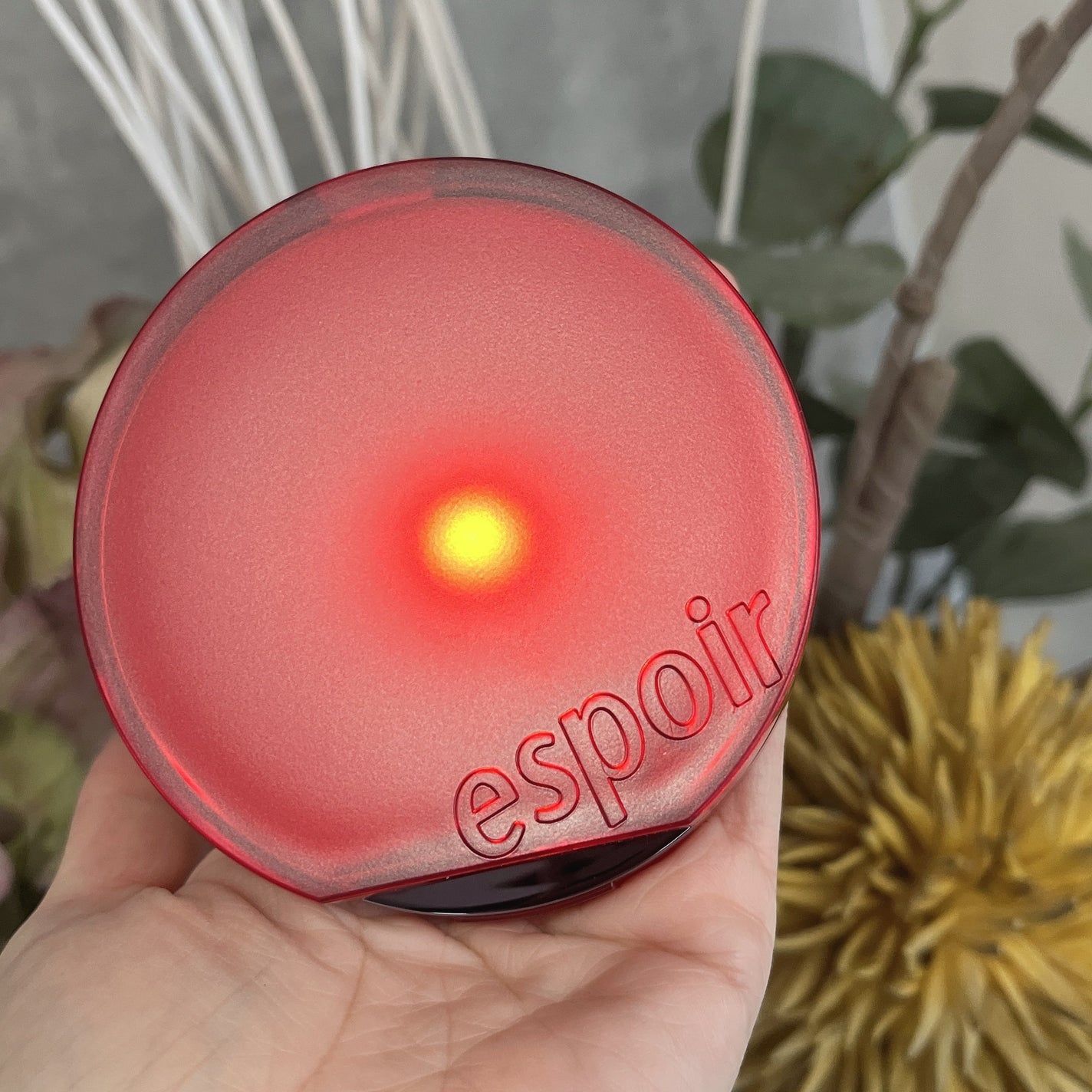 ビーベルベットカバークッション/espoir/クッションファンデーションを使ったクチコミ(2枚目)