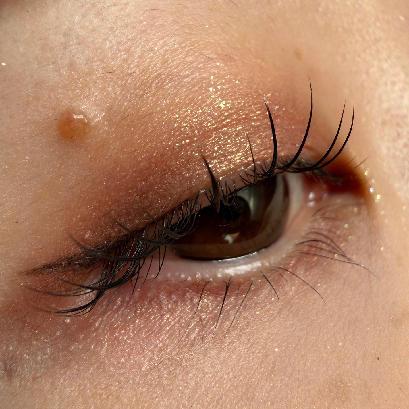 スモール アイシャドウ/M・A・C/単色アイシャドウを使ったクチコミ(2枚目)