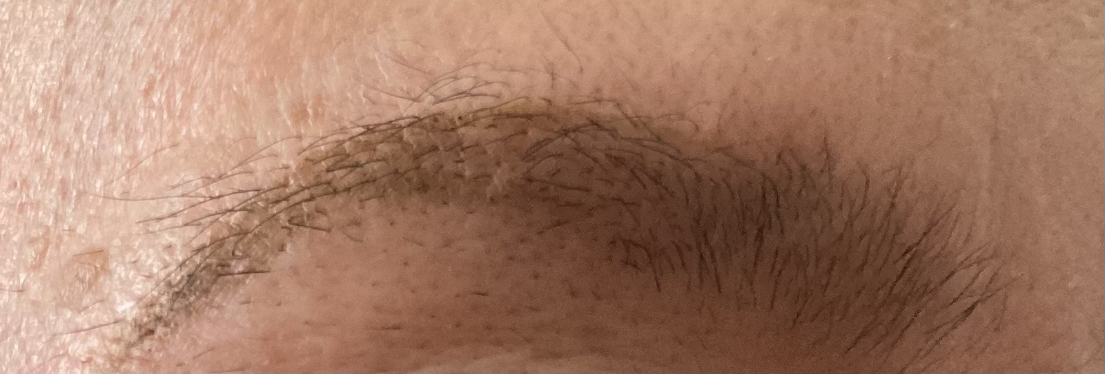 眉墨鉛筆/SHISEIDO/アイブロウペンシルを使ったクチコミ（2枚目）