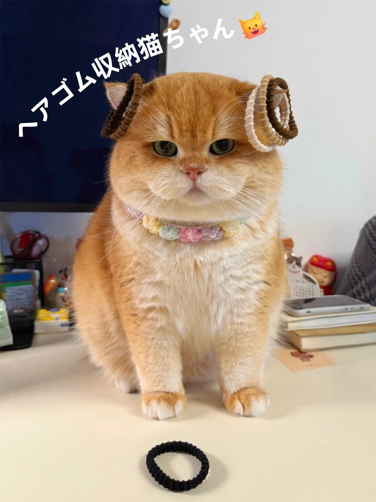 アネトス バランシング トリートメントクリーム/Anetos/フェイスクリームを使ったクチコミ(2枚目)