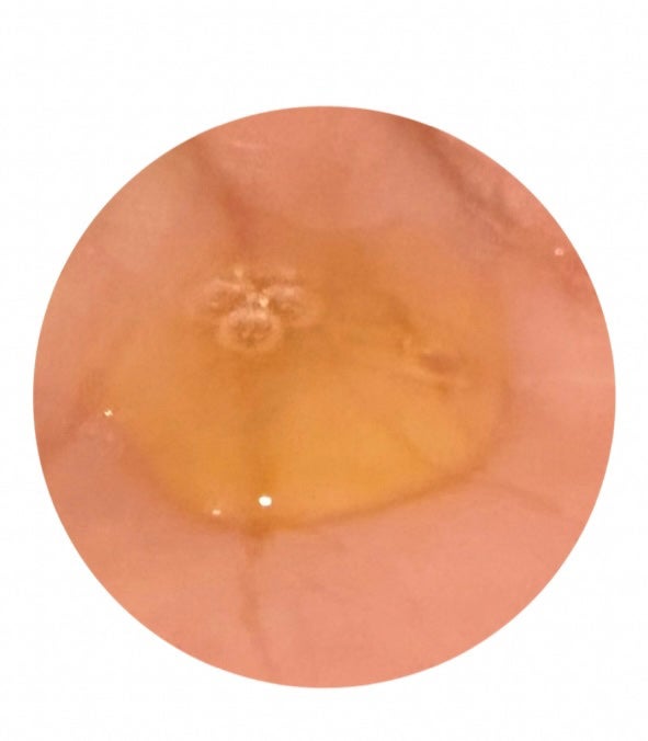 RX ザ ビタミン C23 セラム/COSRX/美容液を使ったクチコミ(2枚目)