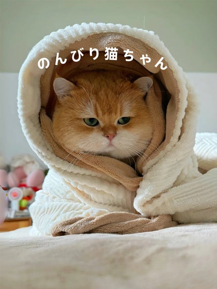 アネトス バランシング トリートメントクリーム/Anetos/フェイスクリームを使ったクチコミ(4枚目)