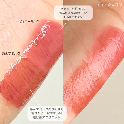 デューティントミニデュオ/AMUSE/リップティントを使ったクチコミ(5枚目)