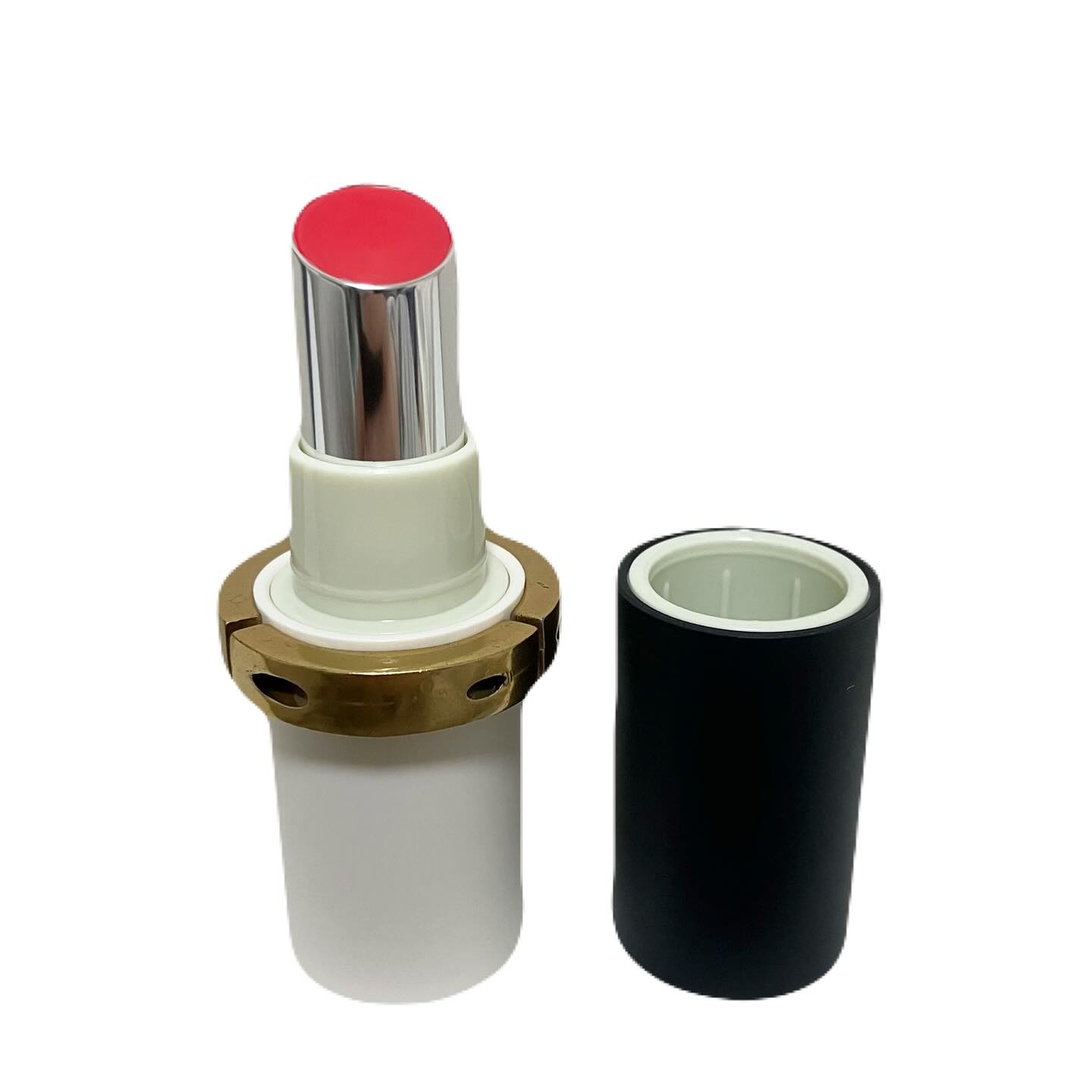 ザ リップ ネオ アニマ/アーレス/口紅を使ったクチコミ（3枚目）