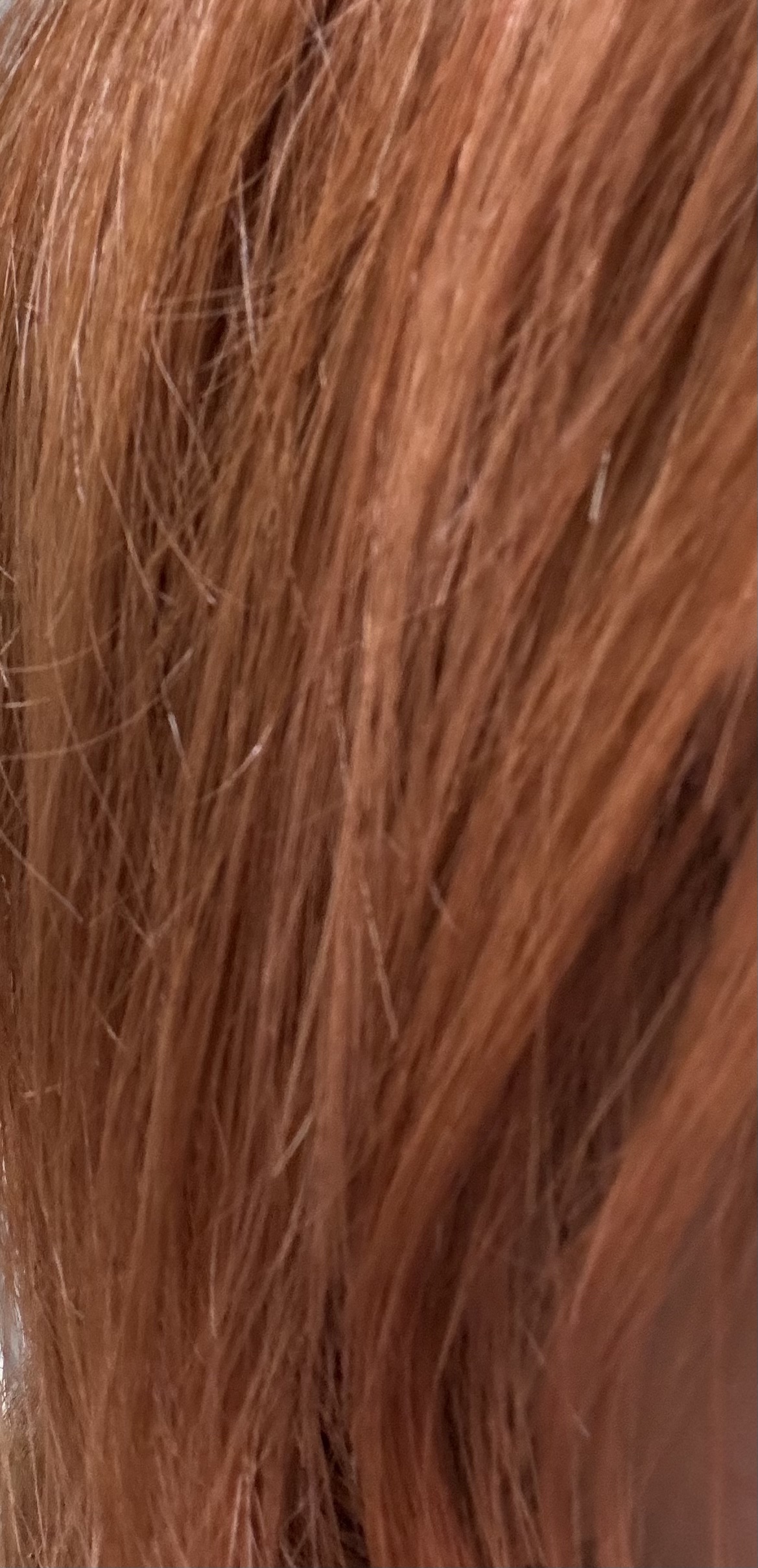 デビルズトリック サーフィンオレンジ/クイスクイス/ヘアカラーを使ったクチコミ（1枚目）