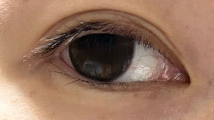 a-eye/リフレア/ワンデー(1DAY)カラコンを使ったクチコミ(3枚目)