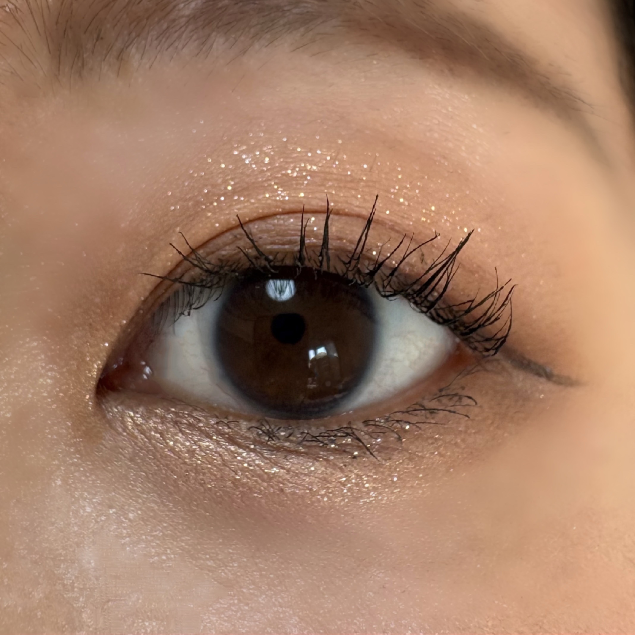 ベターミーアイパレット/2aN/マルチパレットを使ったクチコミ（3枚目）