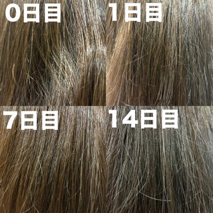 ブルーグロスシャンプー/トリートメント/rasica/市販シャンプーを使ったクチコミ(5枚目)