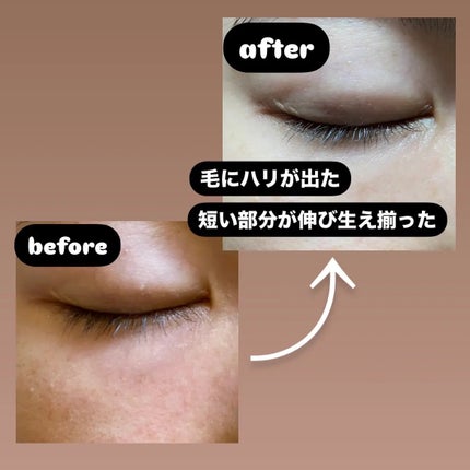 アイラッシュエッセンシャルセラム/epais/まつげ美容液を使ったクチコミ(3枚目)