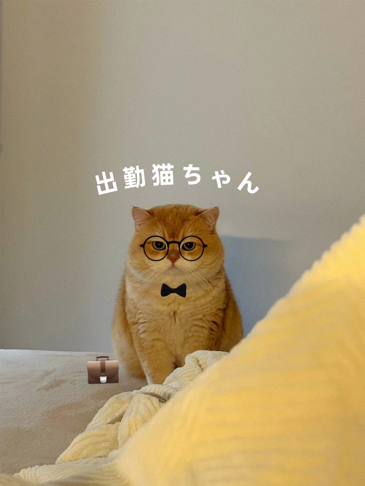 アネトス バランシング トリートメントクリーム/Anetos/フェイスクリームを使ったクチコミ(3枚目)