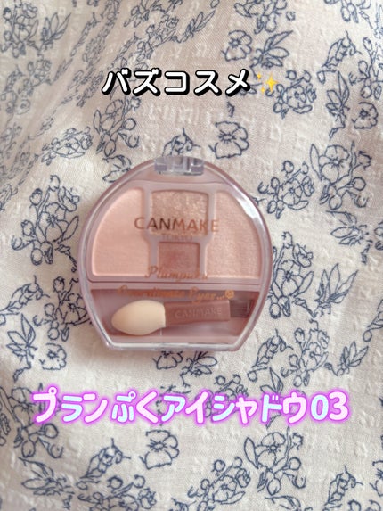 プランぷくコーデアイズ/キャンメイク/パウダーアイシャドウを使ったクチコミ(1枚目)